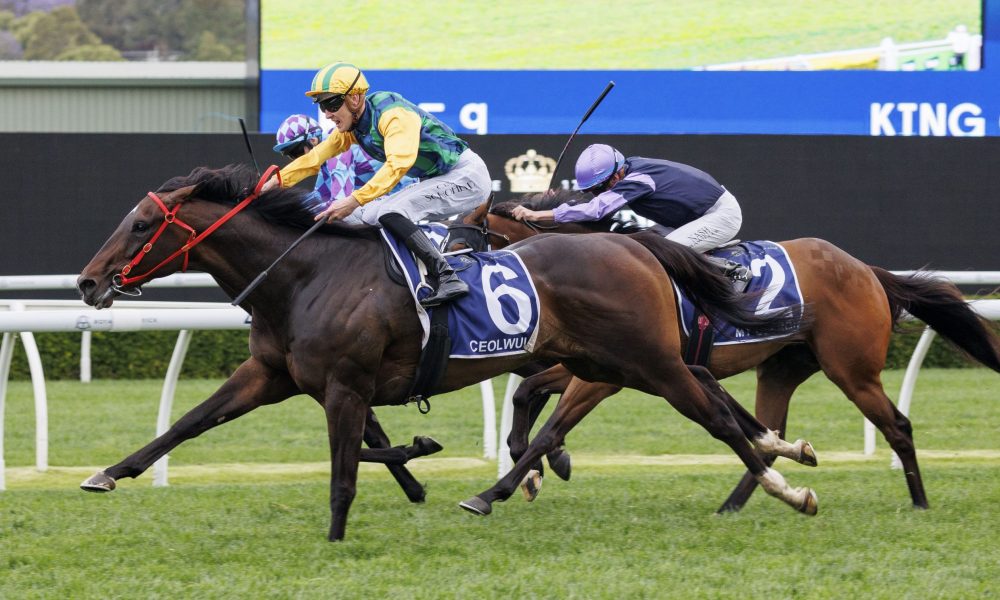 中面临的重 中面临的重