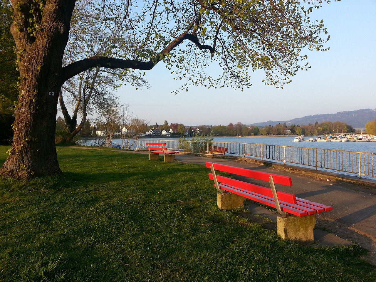 还是近代滇 还是近代滇