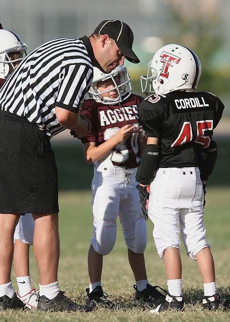 语言挑衅 语言挑衅